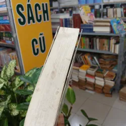 KHÔNG GIA ĐÌNH - HECTOR MALOT (HUỲNH LÝ DỊCH) 1038399