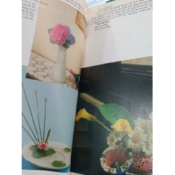Nghệ thuật cắm hoa Nhật Bản - Yazahashi Toka 529153