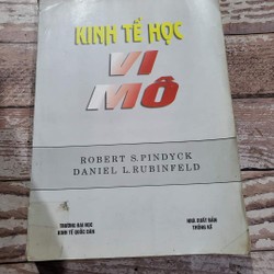 Kinh tế vi mô tác giả Robert S. Pindyck, Daniel L. Rubinfeld