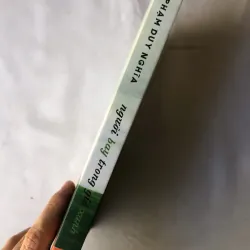 Người Bay Trong Gió Xanh - Phạm Duy Nghĩa 976135