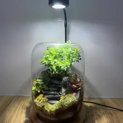 Bể terrarium nhà Xanh Zone 1063219
