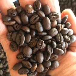 Cà phê nguyên chất, robusta rang mộc 139878