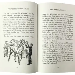 Sách The Secret Seven - Trọn bộ 16 quyển 747024