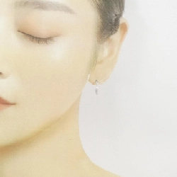 Bông tai nhỏ hình vòng Tiffany Metro - Hàng hiệu Authentic 846446