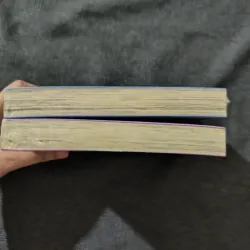 Ranma 1/2 (Bản Deluxe) - Tập 18 19 (Seal) 754586