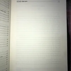 Lịch sử Việt Nam 730597