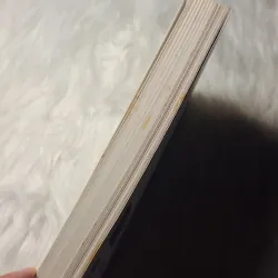 Joe Mcginnis Jr. - Carousel Court 957164