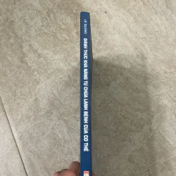 Đánh thức khả năng tự chữa lành bệnh của cơ thể 750766