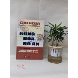 Rồng Hoa Hổ Ấn - Pete Engardio