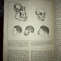 Những tiên đề của sinh học - B.M. Međnikov 798776