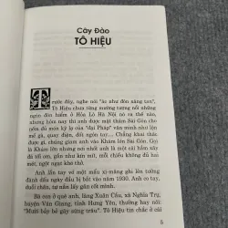 CÂY ĐÀO TÔ HIỆU - VIẾT LINH 990645