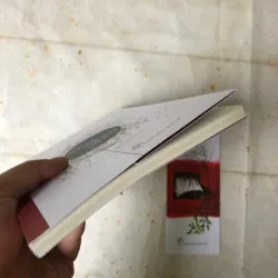 Nơi Chúng Ta Thuộc Về - Amanda Huỳnh 975474