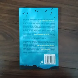 Nếu em không phải một giấc mơ 928904