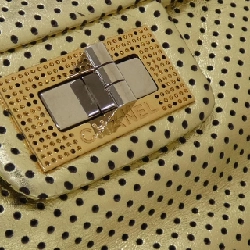 Túi xách chéo Chanel 613375