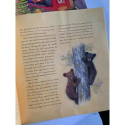 Shh! Bears Sleeping – David Martin 561133