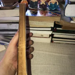 Loại hình các ngôn ngữ 972622