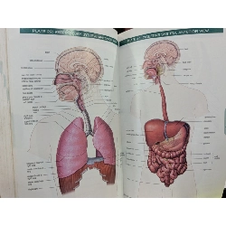 Stedman's Concise Medical Dictionary for the Healthy Professions 778101