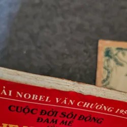 Cuộc đời sôi động và đam mê của Hemingway 736232