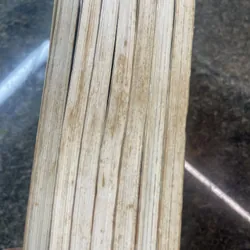 Truyện 07-Ghost Yuhi Amemiya 7 tập 607453