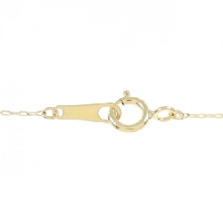 Dây chuyền kim cương K18YG 0.10CT - Hàng hiệu Chính hãng 864981