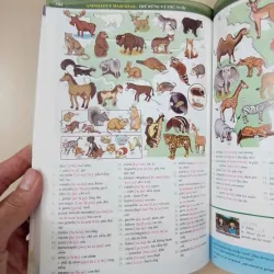 Nâng cao vốn từ vựng tiếng Tây Ban Nha theo chủ đề bằng hình ảnh 696780