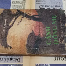 Truyện CÁNH ĐỒNG MẸ, nhà văn Chyngyz Torekulovich Aitmatov 706222