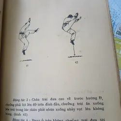 THIẾU LÂM TRƯỜNG QUYỀN - HÀNG THANH 748722