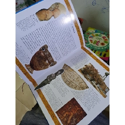 Các nền văn minh thế giới Hy lạp cổ đại mới 90% sách màu MẸ VÀ BÉ HCM1709 924245