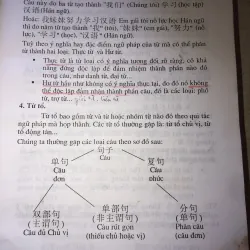 Thực Hành Ngữ Pháp Tiếng Hán Hiện Đại Nguyễn Hữu Trí 970496