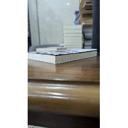 LIGHT NOVEL Vợ Trong Game Của Tôi Là Idol Nổi Tiếng- Abone 799781