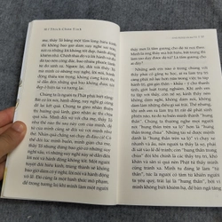 CHÓ RỪNG VÀ SƯ TỬ 549217