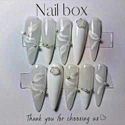 Nailbox thiết kế siu xinh 302205