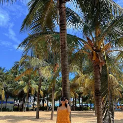 Váy nữ nắng vàng dáng suông kiểu dáng xòe đính hoa nổi siêu xinh 1024440