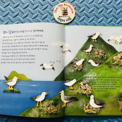 Set 반짝이는 지식별 set 2 755750