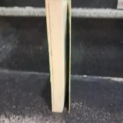 Người chăn kiến- Bùi Ngọc Tấn 1029980