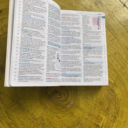 LONGMAN WORDWISE DICTIONARY- 2ND EDITION  602677