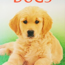 Usborne Spotter's Guides: Dogs 183942