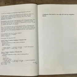 Information Engineering: Strategic Systems Development - Clive Finkelstein 748999