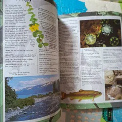 Động Thực Vật Ở Sông Hồ 993247