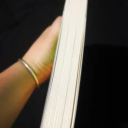 Mọi Việc Đều Có Thể Giải Quyết - Diane Musho Hamilton 759143