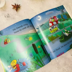 Usborne Phonics reader bộ mở rộng 546051