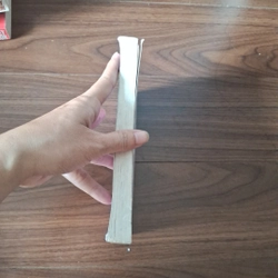 Trả thù tình 525661