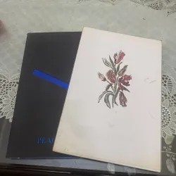 PeaceBird men sunmer & Spring casual 2015 972620