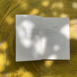 HỒ SƠ RACHEL - MARTIN AMIS 937331