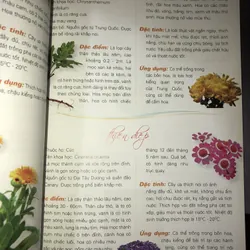 365 loài hoa cảnh  732810