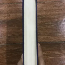 Hồ Quý Ly - Nguyễn Xuân Khánh (kt4) 591820