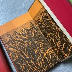 Bộ sách 2 tập Đất vỡ hoang - Mikhain Solokhop - nhà xuất bản cầu vồng 719633