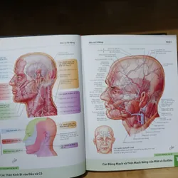 Atlas Giải Phẫu Người (Ấn Bản Lần Thứ 6) - Frank H. Netter, MD 570689