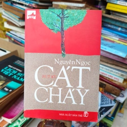 Cát cháy 🌱