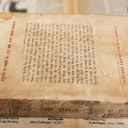 Tác phẩm VH kinh điển: KHÔNG GIA ĐÌNH - Hector Malot (tranh vẽ minh họa) 727203